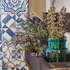New - In Centro Storico Appartement